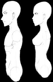 This mod does not have any known dependencies other than the base game. Anime Male Female Bust Profile Average Weight By Skeletonny On Deviantart