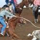 Sorting & Roping Practice — Reach Huron event image
