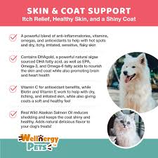 Do dogs require vitamin supplements like humans? Skin Coat Dog Chews W Omega 3 6 9 Reduce Dry Itchy Irritated Skin