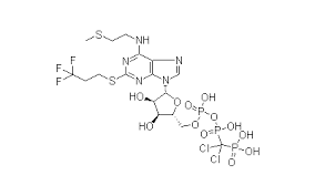 Image result for Cangrelor