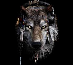 Download your favourite wallpaper clicking on the blue download button below the wallpaper. Indian And Wolf Wallpapers Top Free Indian And Wolf Backgrounds Wallpaperaccess