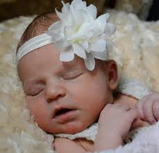 Joyce Lambert Photography