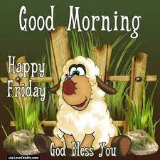 Funny morning wishes and quotes will help you bring smiles to funny good morning messages for him. God Bless You Good Morning Friday Good Morning Friday Good Morning Happy Friday Good Morning Funny
