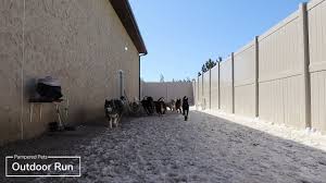 Stop in anytime for a tour. Pampered Pets Grooming Pet Wash Boarding And Day Care Brainerd Lakes Baxter Minnesota 5 Star Reviewed Full Service Or Self Service Pet Wash Groomers And Luxury Boarding And Day Care