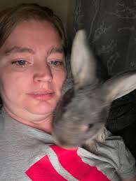 Caught red pawed. This ladies and gentlemen is how my rabbits steal my  clothes