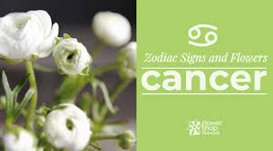 What is worst of all is that you will have no idea why. Zodiac Signs And Flowers Cancer