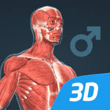 Best anatomy apps for android. 8 Best Human Anatomy Apps For Android In 2021 The Droid Guy