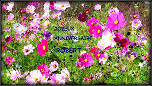 Afin de faciliter le choix de ce message d'anniversaire ou la carte bon anniversaire, nous avons compilé une collection de vœux d'anniversaire et citations en photos parmi lesquelles vous pouvez choisir. Bon Anniversaire Robert Photo Et Image Cartes De Voeux Arras Lille Lens Fleurs Images Fotocommunity