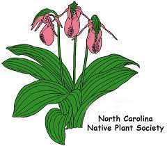 Adding native plants to a garden is. Western Carolina University The Cullowhee Native Plant Conference