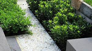 Plastic lawn edging ideas are becoming popular more. Elegant Metal Edging Offering Modern Solutions For Low Maintenance Yard Landscaping Metal Garden Edging Garden Edging Steel Garden Edging