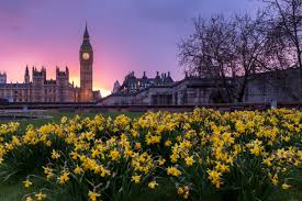 Birthday celebrations are an antique european custom. 5 Great Ways To Celebrate Your Birthday In London Missing Sleep