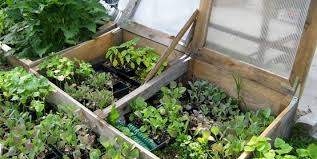 Struggling with tick yard treatment at long term elimination of pests is the best way to handle pests in the home garden. Cornell Cooperative Extension Gardening