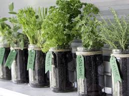 Organic mechanics® planting mix compost blend sku: 12 Easiest Herbs To Grow In Your Kitchen Garden The Times Of India