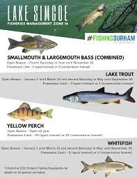 If you want to use a treble hook, use sizes 12, 14, or 16. Fishing Region Of Durham