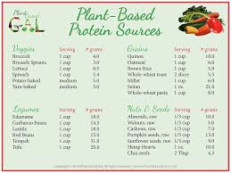 but where do you get your protein plant based gal