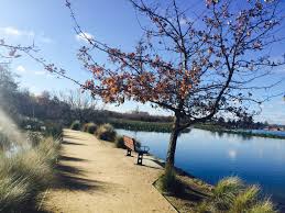 Lake Wendouree Ballarat Victoria Australia Victoria Australia Trip Planning Australia