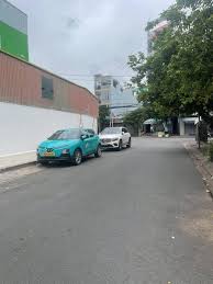 Image result for Strephonema sericeum