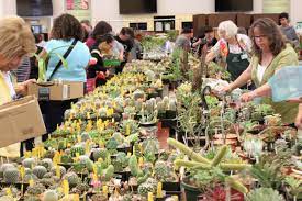 From wikipedia, the free encyclopedia. Cactus And Succulent Society Of San Jose Fall Show Sale