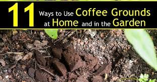 It is a solid material thanks for the great article. 11 Ways To Use Coffee Grounds In The Garden