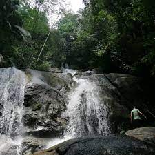 Hutan lipur sungai sedim, karangan 09700 malaysia. Photos A Hutan Lipur Sg Sedim 4 Conseils De 978 Visiteurs