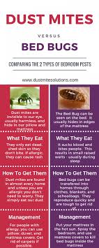 Pin On Dustmitesolutions Com