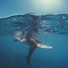 Pin By Georgia On Hi Surfing Pictures Beach Photos Surfing
