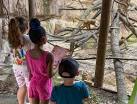 Houston Zoo - See them. Save them.