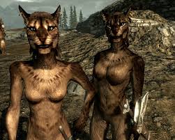 Rule34 - If it exists, there is porn of it  khajiit  2779850