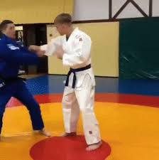 Pin On Jiu Jitsu