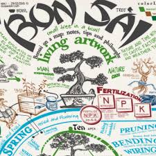 Browse our selection of bonsai posters and find the perfect design for you—created by our community of independent artists. Poster Bonsai Learn With A Poster Bonsai Bonsai Tree Care Bonsai Tree Types