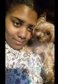 Lost Yorkie in Edgewood area