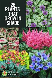 Maybe you would like to learn more about one of these? Flowers Bees Like Best Shefalitayal