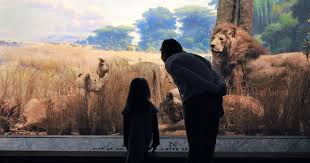 Permanent Exhibitions American Museum Of Natural History