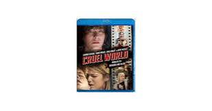 Cruel World: Pressly, Jaime, Furlong, Edward, Ramsey, Laura, Keegan,  Andrew, Howard, Kelsey T: 0096009002718: Amazon.com: Books