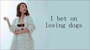 Check spelling or type a new query. I Bet On Losing Dogs Mitski Lyrics Youtube