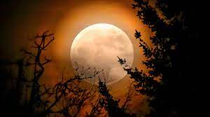 The full moon in may is also. Flower Super Moon 2020 All You Need To Know About The Last Super Moon Of The Year That Will Occur Today At 4 15 Pm Ist Technology News Firstpost