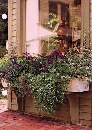 Nice Window Box Design For Low Windows Window Box Window Boxes Outdoor Gardens