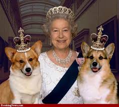 Art supplies marker paper colored pencils brown pink *learn more about the specific art supplies we used in this lesson. Corgis With Queen Elizabeth One 16 Inch Fabric Panel Actual Etsy In 2021 Corgi Queen Corgi Corgi Facts