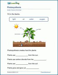 Hover your mouse over any skill name to preview it, then click to practice! Plants Worksheets K5 Learning