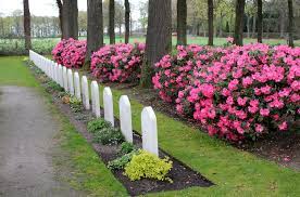 Believe it or not, everyone has a type of flower that matches their personality — here's yours. Cemetery Plants Flowers To Memorialize Your Loved One Pennlive Com