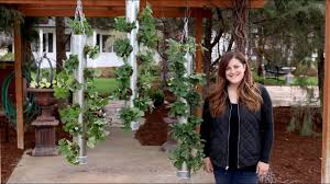 We did not find results for: Galvanized Vertical Strawberry Planter Full Version Garden Answer Youtube
