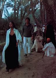 Storyline:glamorous, but passive and browbeaten fashion model laura and her abusive photographer husband carlo go to egypt to visit laura's wealthy friend crystal. Pulp International V