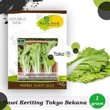 The sweet and sour flavour of this dish is considered refreshing and very compatible with fried or grilled dishes. Jual Benih Bibit Sawi Keriting Tokyo Bekana Haira Seed Terbaru Juni 2021 Blibli