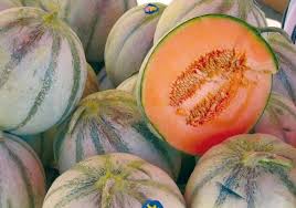 Marche Agricole De Velleron Melon Provence Succulents