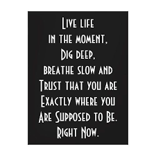 Wisdom For Senior Citizens Life After 60 Inspirational Quotes Inspirational Quotes Motivation Quotes
