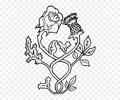 # honeysuckle # tattoo pic.twitter.com/8ycyktchvb. Thistle Rose Tattoo Scotland Drawing Scottish Thistle Image Tattoo Hd Png Download Vhv