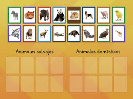 Lily y los animales juego y cuento interactivo para que los ninos. Juego Interactivo Clasificacion De Animales Animales Salvajes O Domesticos