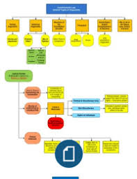 Con Law Flow Charts Law Constitutional Law Law School