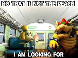 Animal Crossing X Mario Animal Crossing Memes Animal Crossing Funny Pokemon Video Games