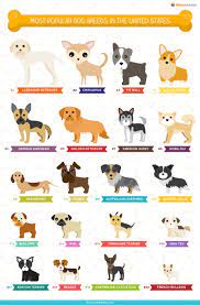 List Of Popular Dog Breeds And Names Popular Dog Names Dog Names Small Dog Breeds Chart